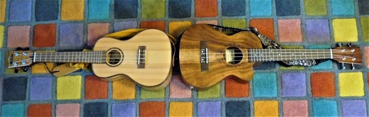 Mellor Brook Community Ukulele Group - 472312653 617415444295654 4138790836063885832 n scaled