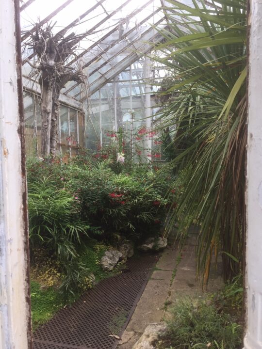 The Future of Corporation Park Conservatory — Have Your Say on Blackburn’s Neglected Gem - Corporation Park conservatory 6