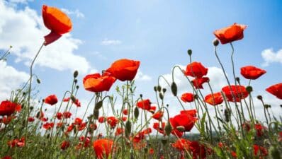 Blackburn with Darwen Council Remembrance Concert