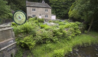 Places to Visit & Things To Do in Blackburn & Darwen: The Ultimate Guide - sunnyhurst woods