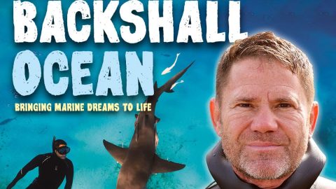 Steve Backshall Ocean