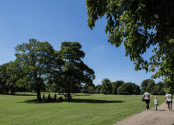 Witton-Park- (Custom) (1)