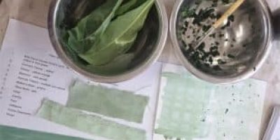 Natural Dyeing Workshop at Blackburn Market on 28 November 2025